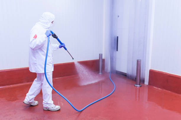 Best Paint Preparation  in Hewlett Harbor, NY
